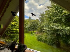 Wohnhaus Wohnzimmer Ansicht 3